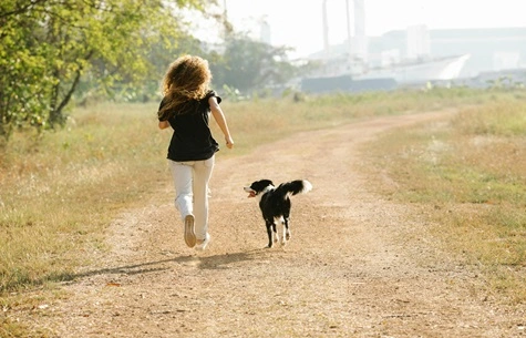 Can You Run On a Treadmill Meant For Walking?